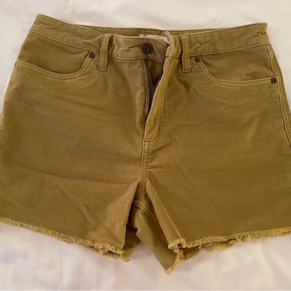 Carve Design Shorts